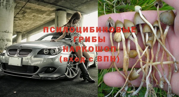 кокаин премиум Магас