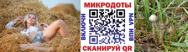 мориарти Telegram  Ростов-на-Дону  Псилоцибиновые грибы MAGIC MUSHROOMS 