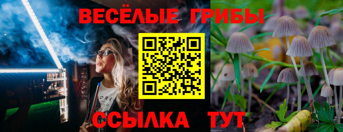 Галлюциногенные грибы GOLDEN TEACHER  купить наркотик  Псилоцибиновые грибы прущие грибы  Ростов-на-Дону  Вход с VPN 